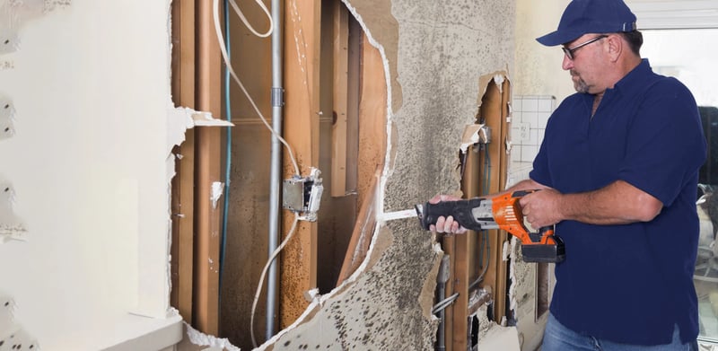 Mold restoration