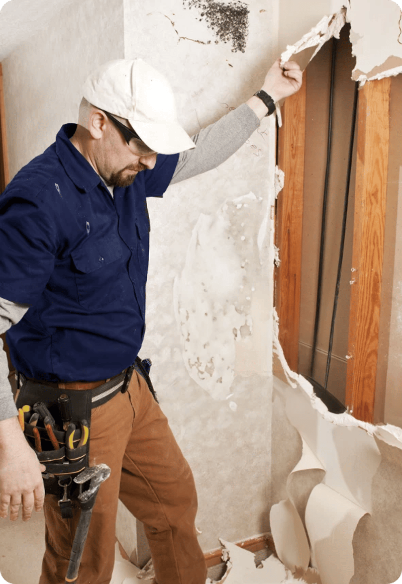 Mold restoration
