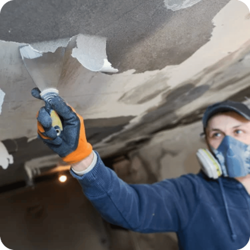 fire damage recovery